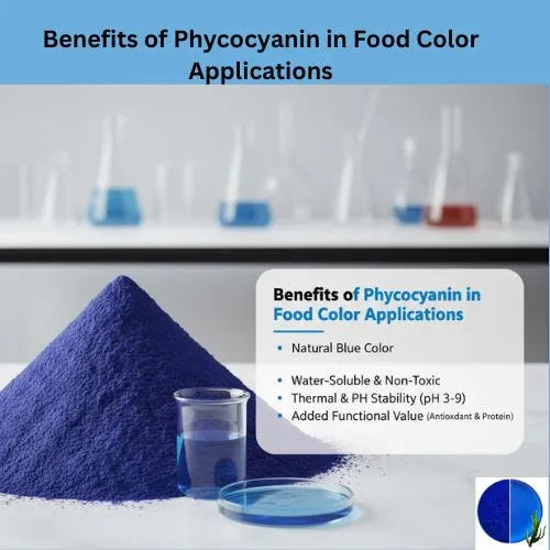 Benefits of Phycocyanin in Food Color Applications.jpg