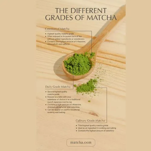 Choosing the Best Matcha Powder for Daily Use Choosing the Best Matcha Powder for Daily Use