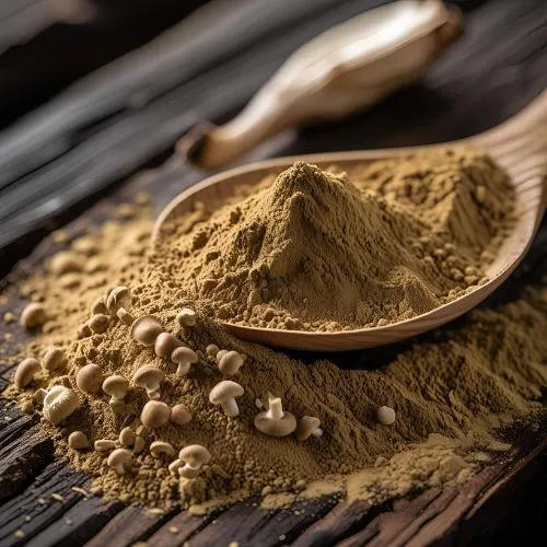 Shiitake Mushroom .jpg