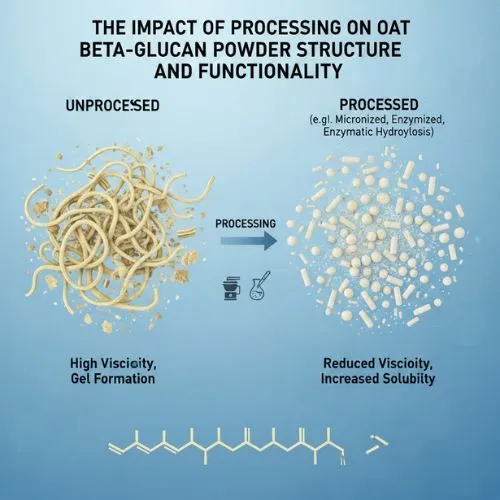The Impact of Processing on Oat Beta Glucan Structure and Functionality The Impact of Processing on Oat Beta Glucan Structure and Functionality