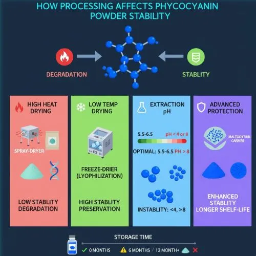 How Processing Affects Phycocyanin Powder Stability How Processing Affects Phycocyanin Powder Stability