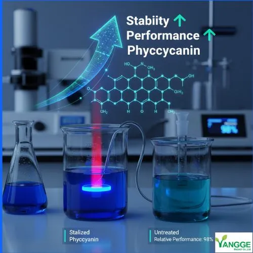 blog-1-1Stability and Performance of Phycocyanin blog-1-1Stability and Performance of Phycocyanin