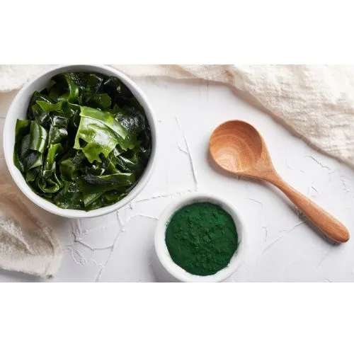 Phycocyanin Spirulina Potent Antioxidant Effects