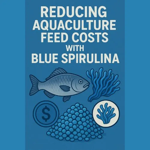Reducing Aquaculture Feed Costs with Blue Spirulina