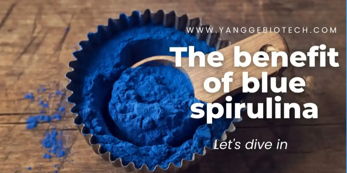 The benefit of blue spirulina The benefit of blue spirulina