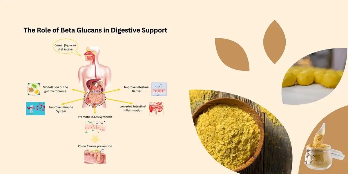 yeast extract powder art 3 yeast extract powder art 3
