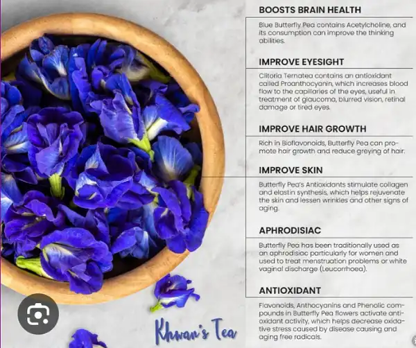 Butterfly pea flower benefit Butterfly pea flower benefit