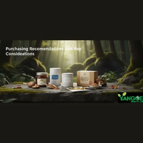 Purchasing Recommendations and Key Considerations