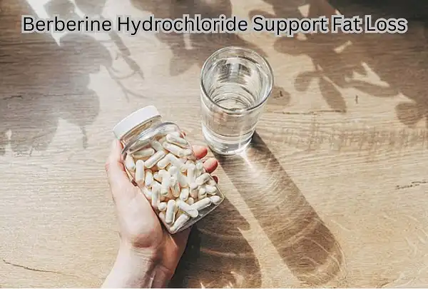 berberine fat loss berberine fat loss