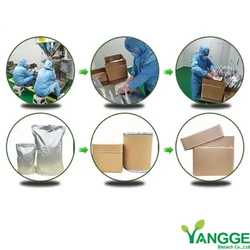 Supplier Evaluation and Partnership Criteria