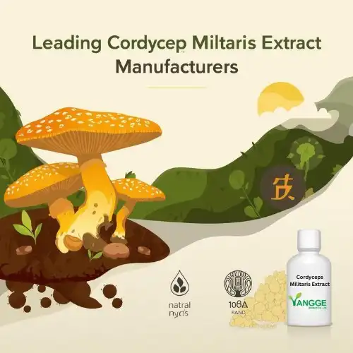 Leading Cordyceps Militaris Extract Manufacturers