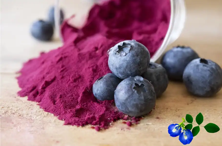 blueberry 1 blueberry 1