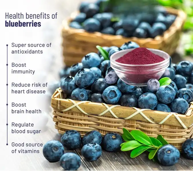 blueberry benefits blueberry benefits