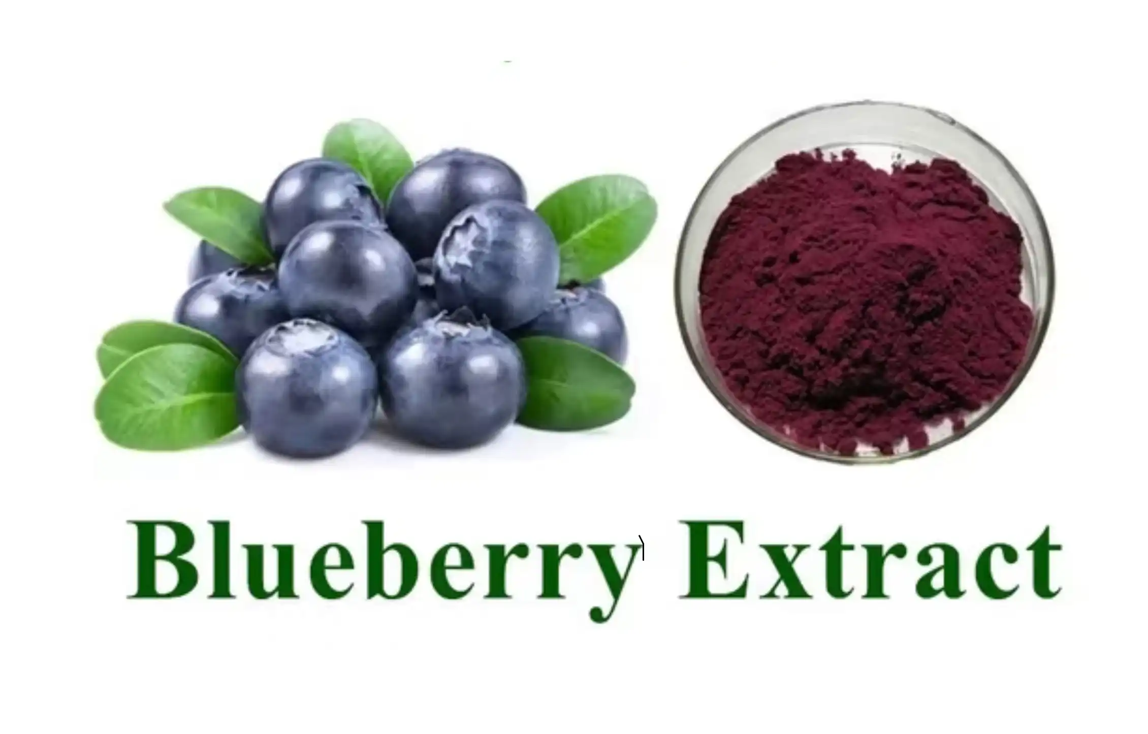 blueberyy 2 blueberyy 2