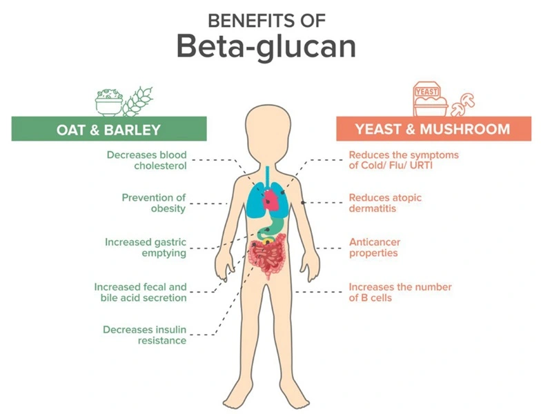 yeast xtract 3 yeast xtract 3