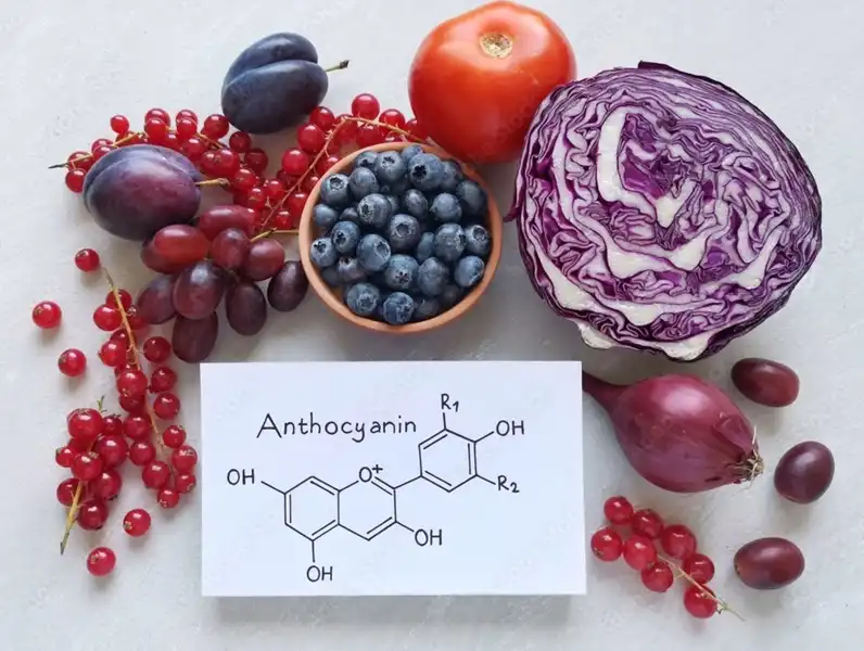anthocyanin anthocyanin