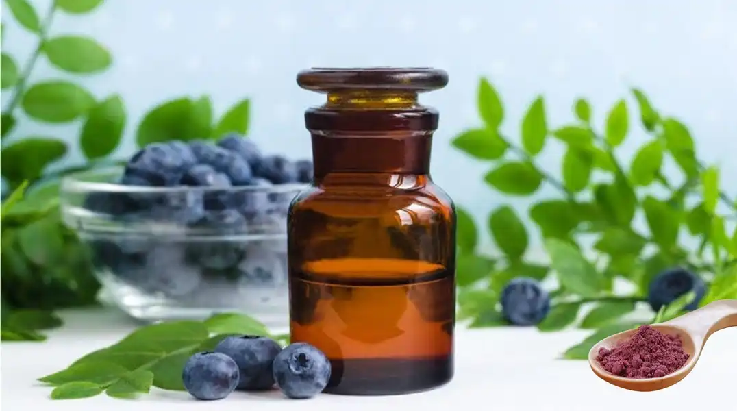 blueberry healing blueberry healing