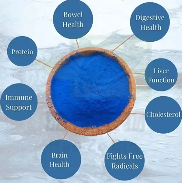 blue spirulina 2 blue spirulina 2