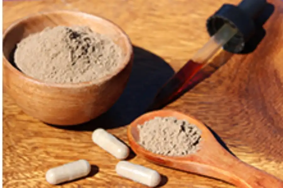 cordyceps wellness cordyceps wellness