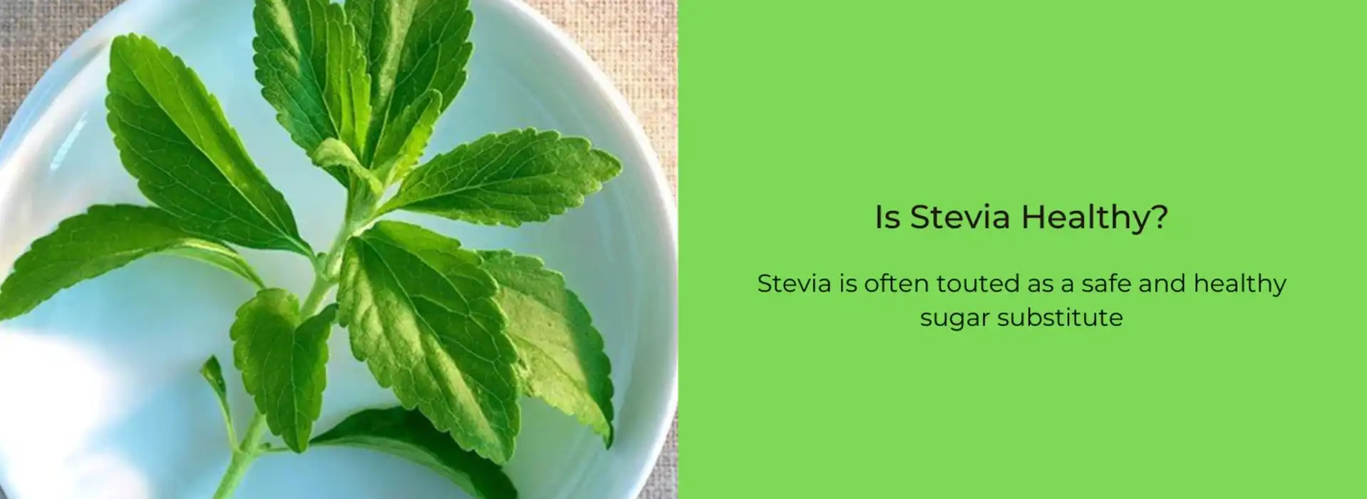 Stevia Healthy Stevia Healthy