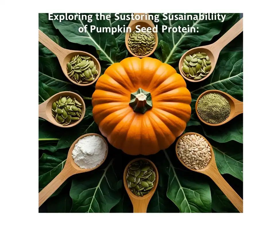 pumpkin seed protein 1 pumpkin seed protein 1