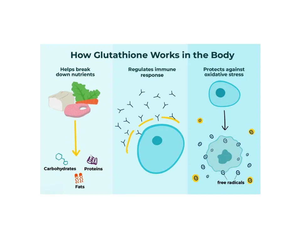 Glutathione powder works in body Glutathione powder works in body