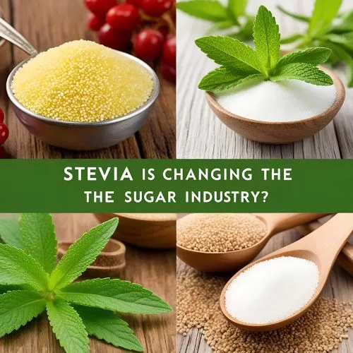 stevia extract 3