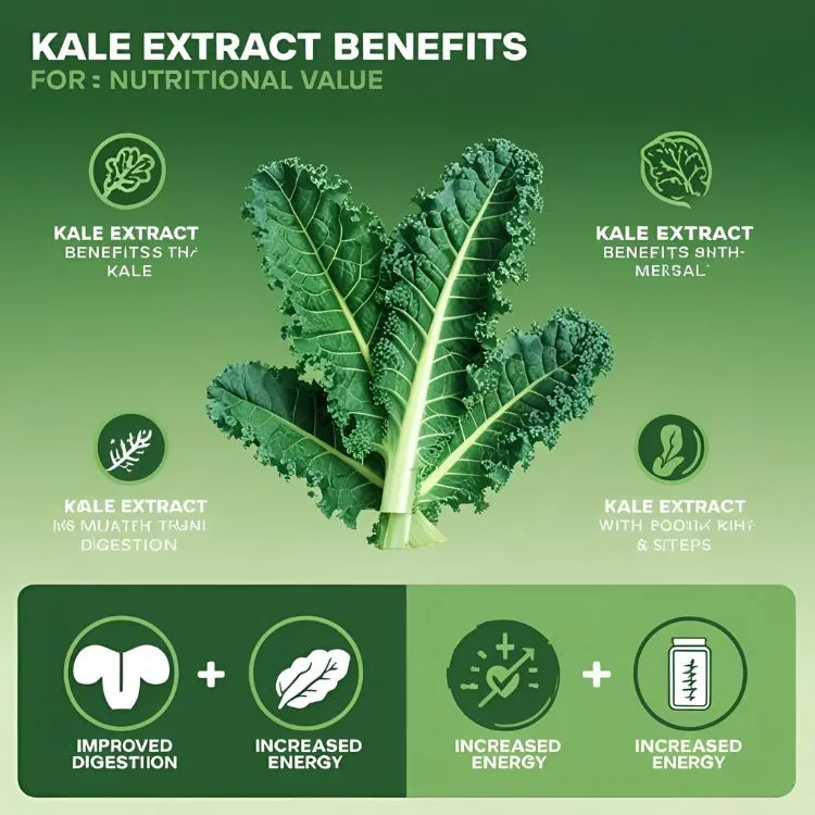 kale extract benefits kale extract benefits