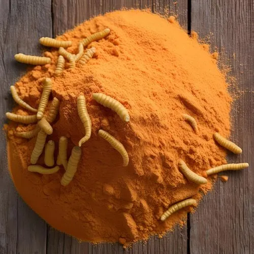 cordyceps militaris powder