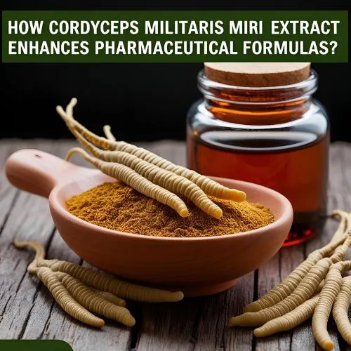 Cordyceps Militaris Pharma