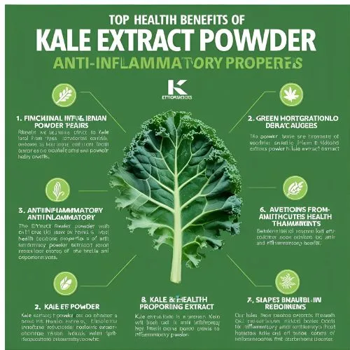 kale extract benefits