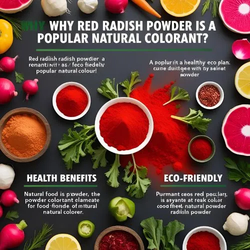 red radish powder E163 3 red radish powder E163 3