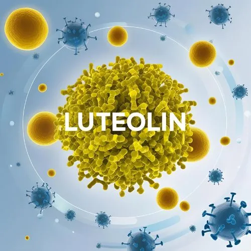 Luteolin Cellular Luteolin Cellular