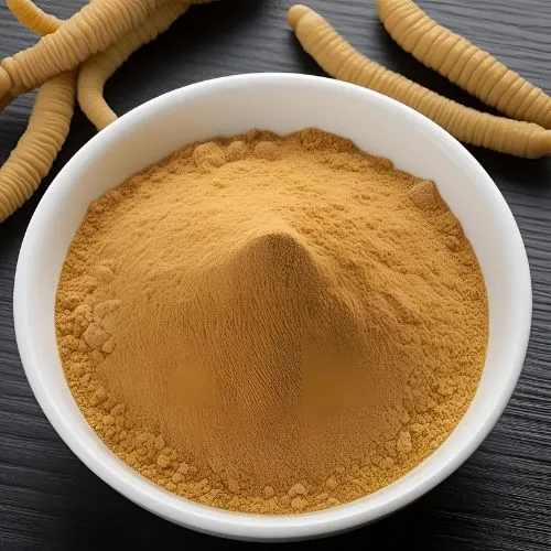 cordyceps powder cordyceps powder