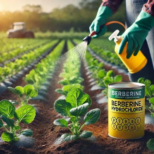 berberine pest