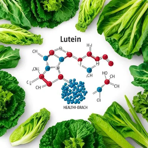 lutein powder 3
