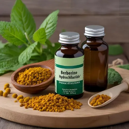 berberine hcl 2