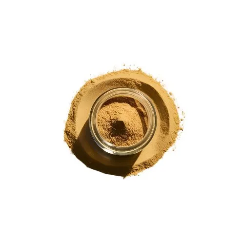 cordyceps extract1
