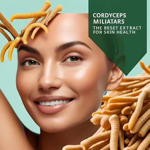Cordyceps militaris extract for skin