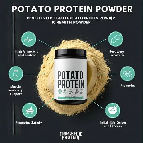 potato protein powder benefits