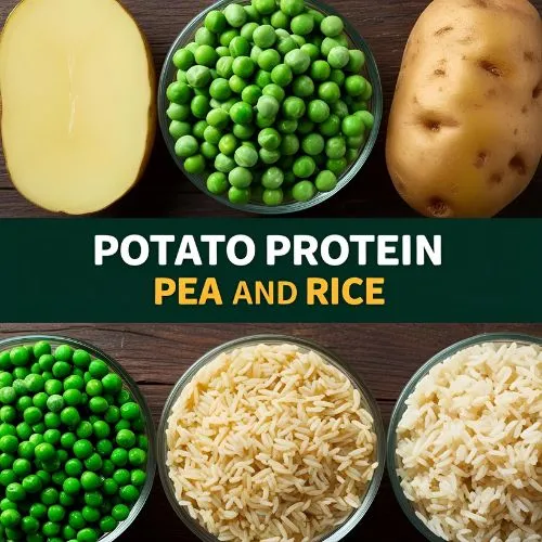 Potato Protein vs Pea and Rice Potato Protein vs Pea and Rice