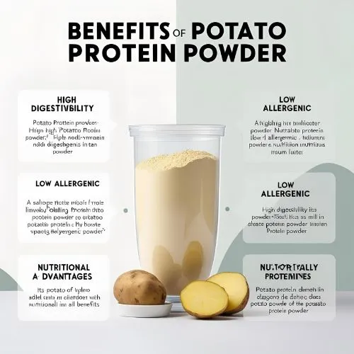 potato protein powder