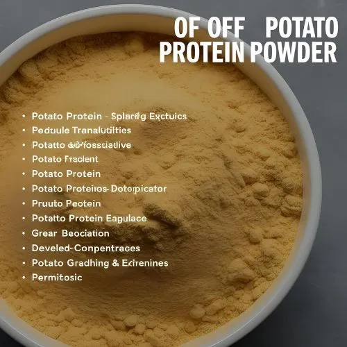 potato protein powder2