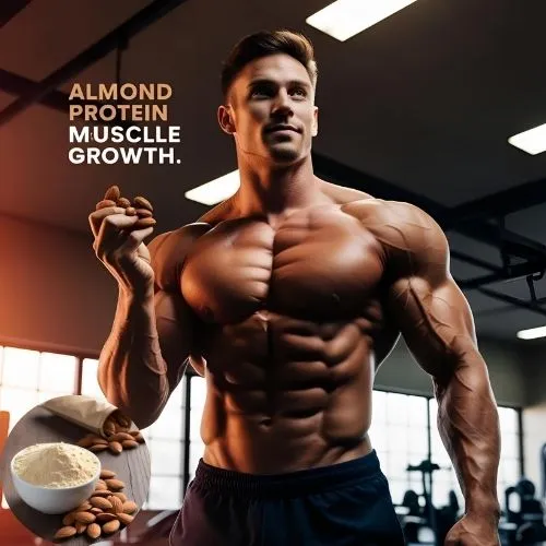 almond protein muscle growth
