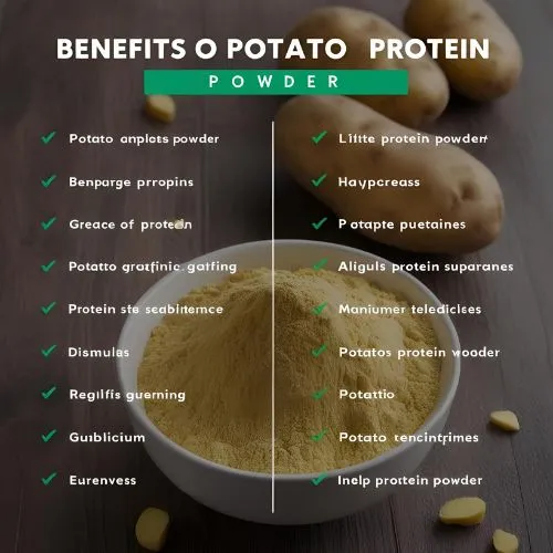 Benefits of Potato Protein Powder Benefits of Potato Protein Powder