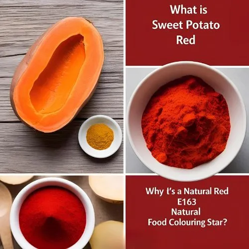 sweet potato red 2 sweet potato red 2