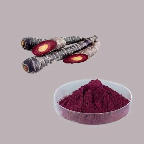 Black Carrot Juice Powder11
