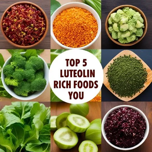 Luteolin powder top 5 Luteolin powder top 5