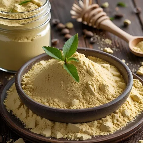 kombucha powder1