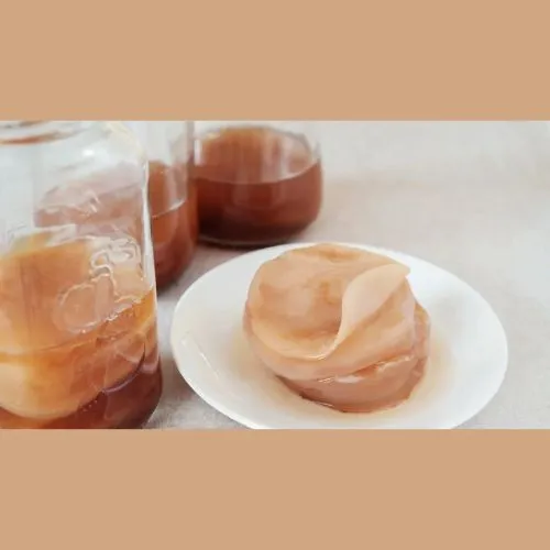 kombucha powder for food
